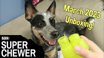 Super Chewer Company Values